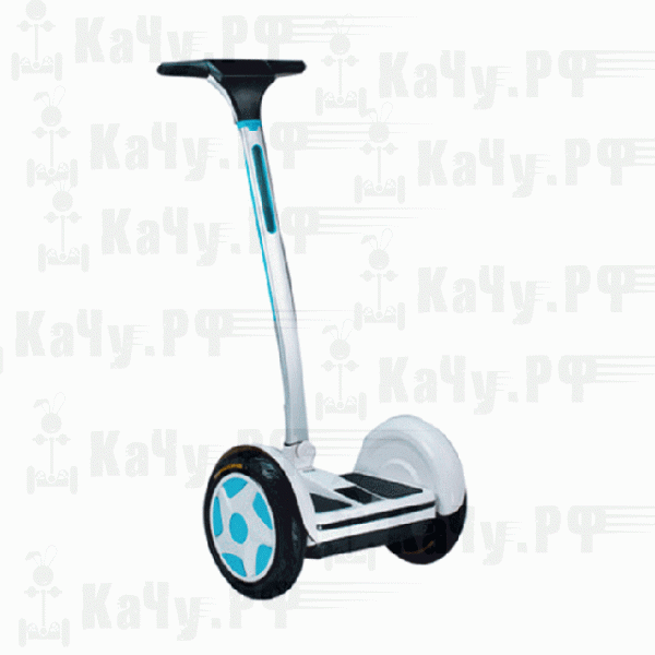 Картинка с сайта