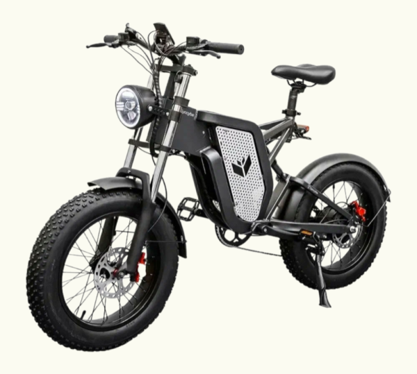 Remove-bg.ai_1730111701954 Remove-bg.ai_1730111701954